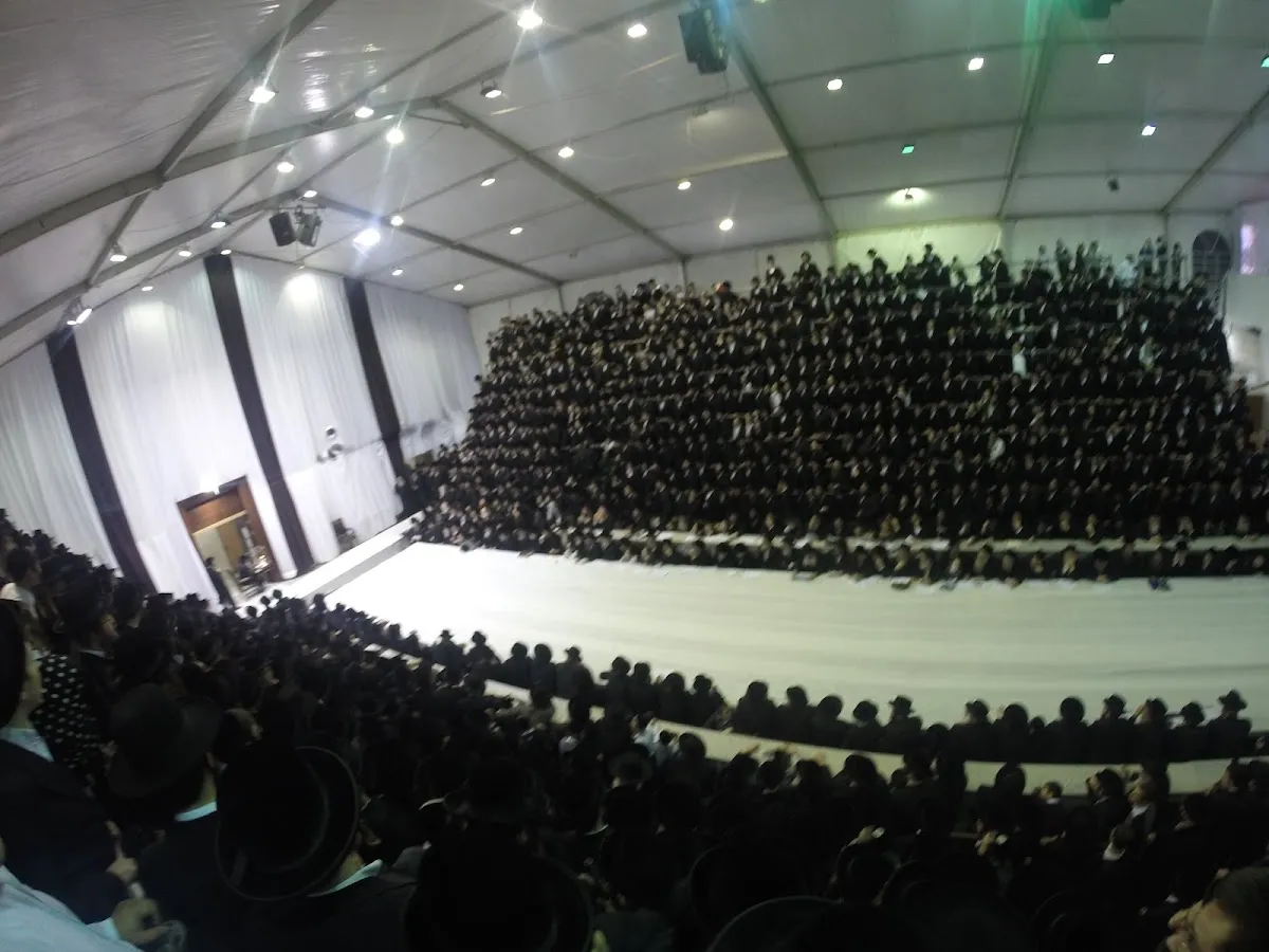 Bobov Yeshiva (Bat Yam) — foto 7