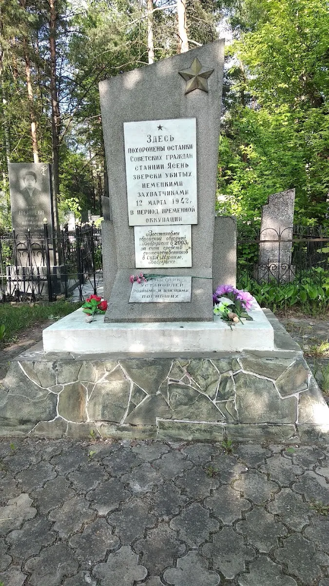 Bobruisk Old Jewish Cemetery — foto 5