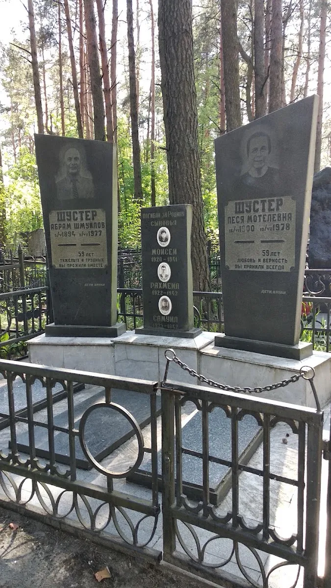 Bobruisk Old Jewish Cemetery — foto 6