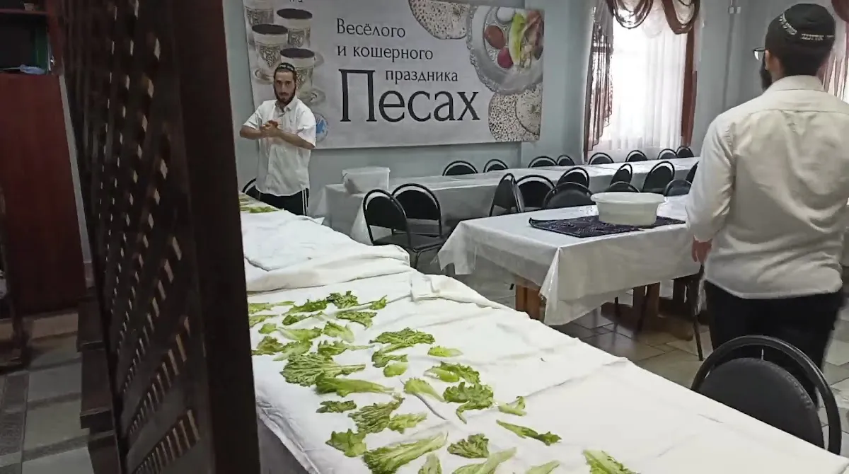 Bobruisk Synagogue — foto 3