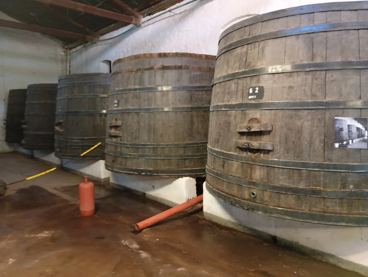 Bodega El Rosal — photo 3