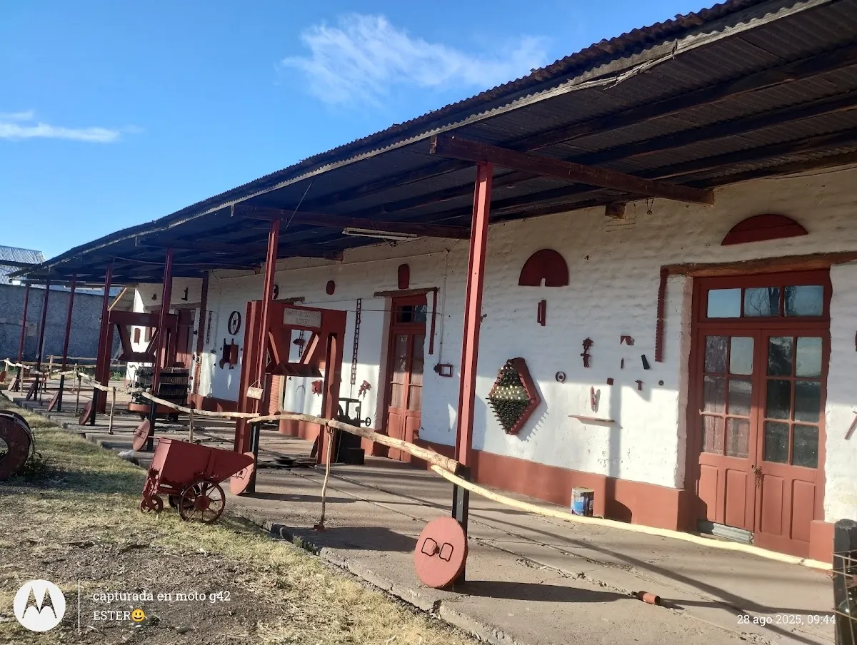 Bodega El Rosal — photo 2