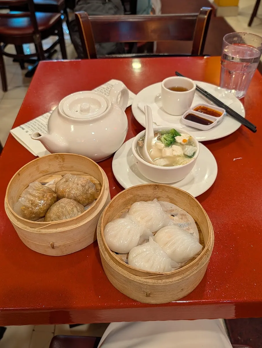 Bodhi Kosher Vegetarian Restaurant — photo 4