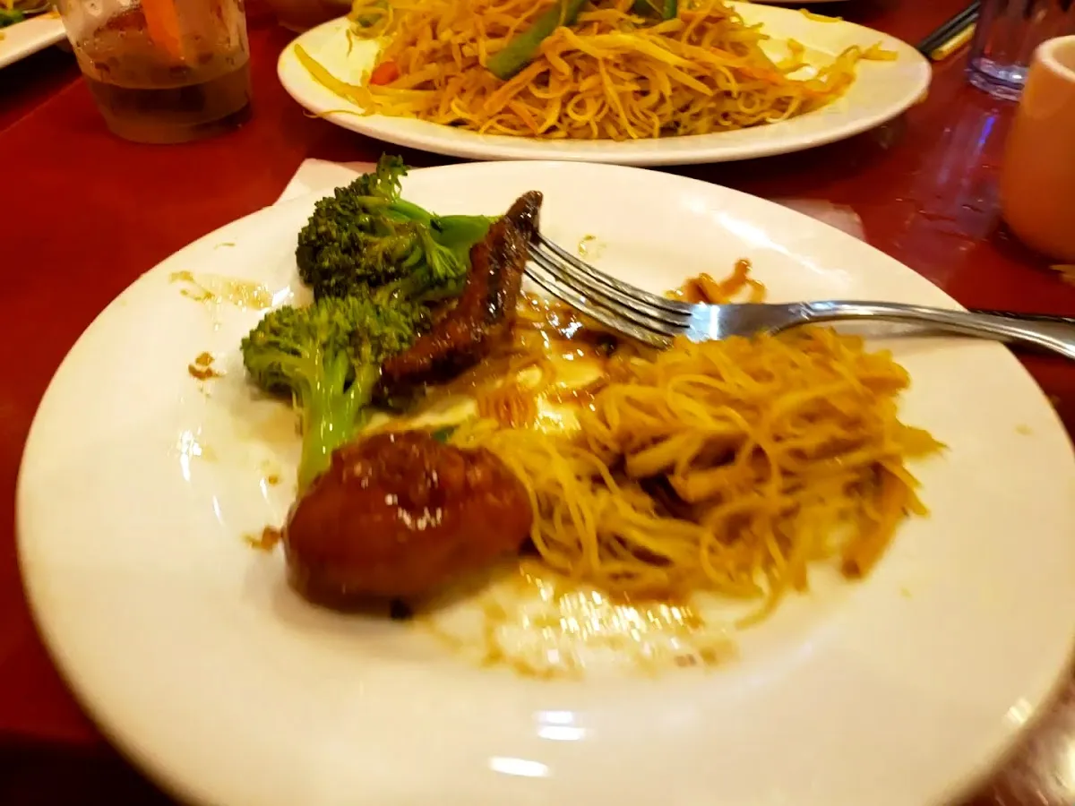 Bodhi Kosher Vegetarian Restaurant — photo 6