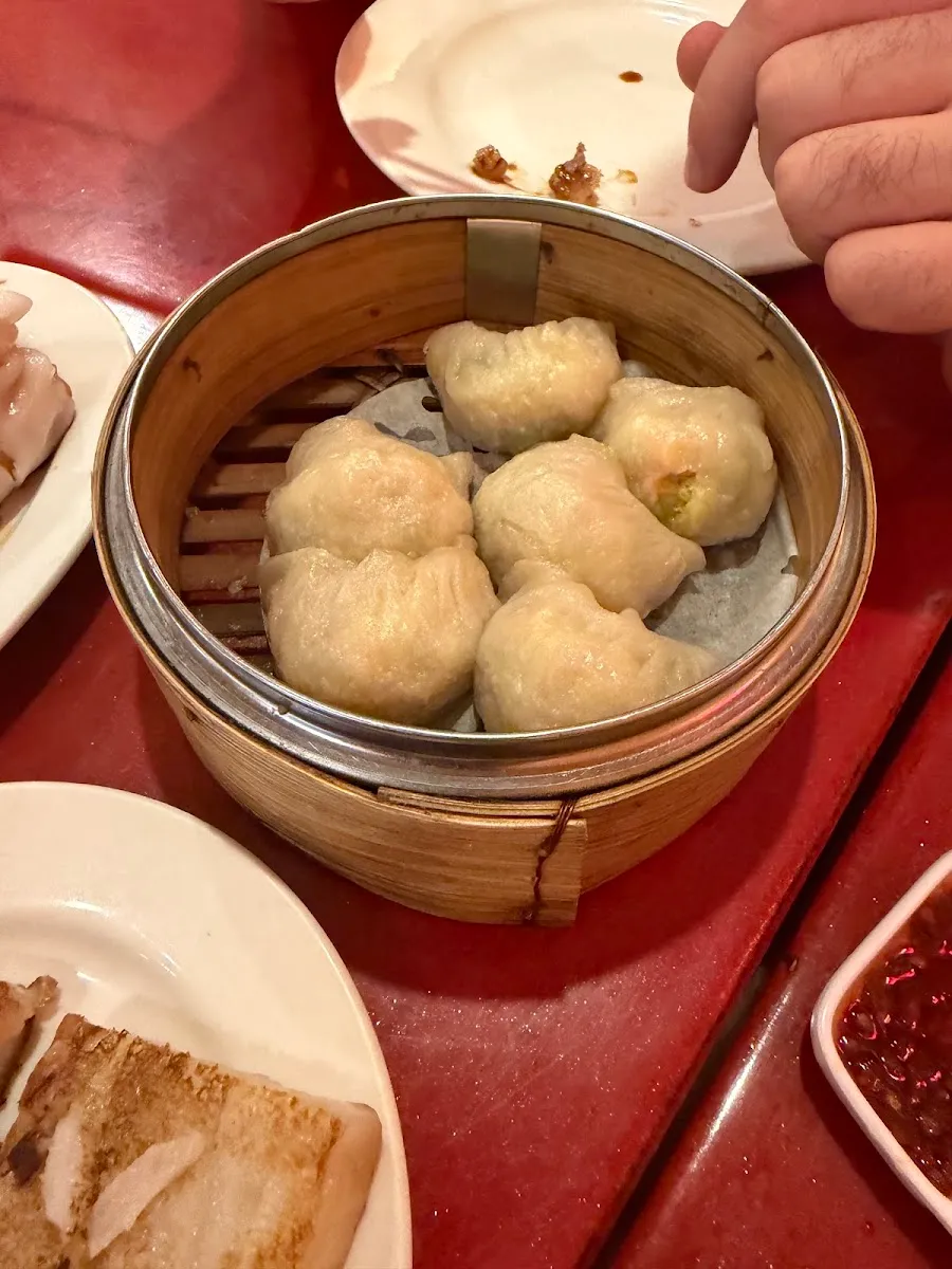 Bodhi Kosher Vegetarian Restaurant — photo 7