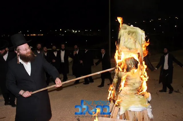 Breslov Synagogue Nof HaGalil — foto 2