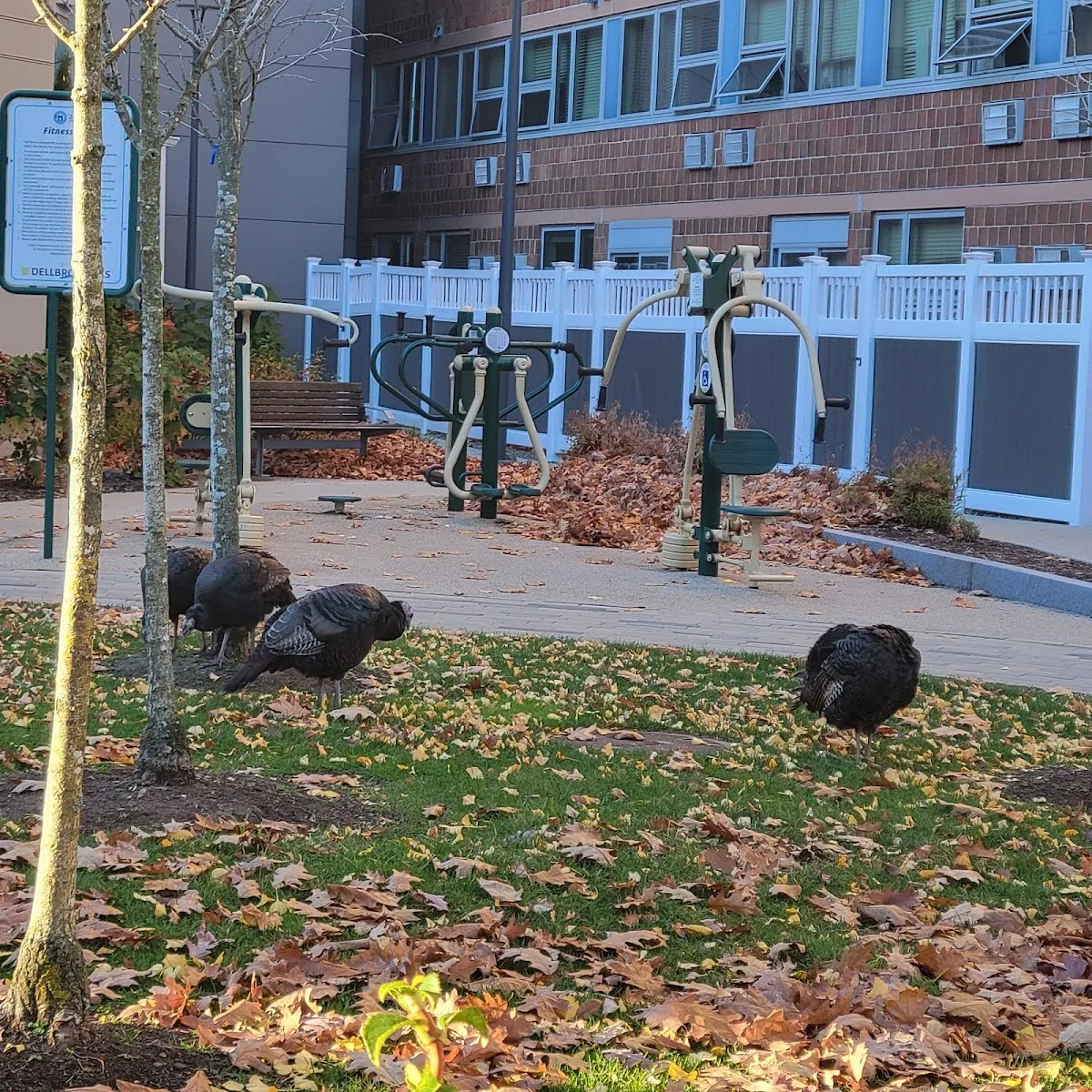 Brighton Campus: A 2Life Community — foto 7
