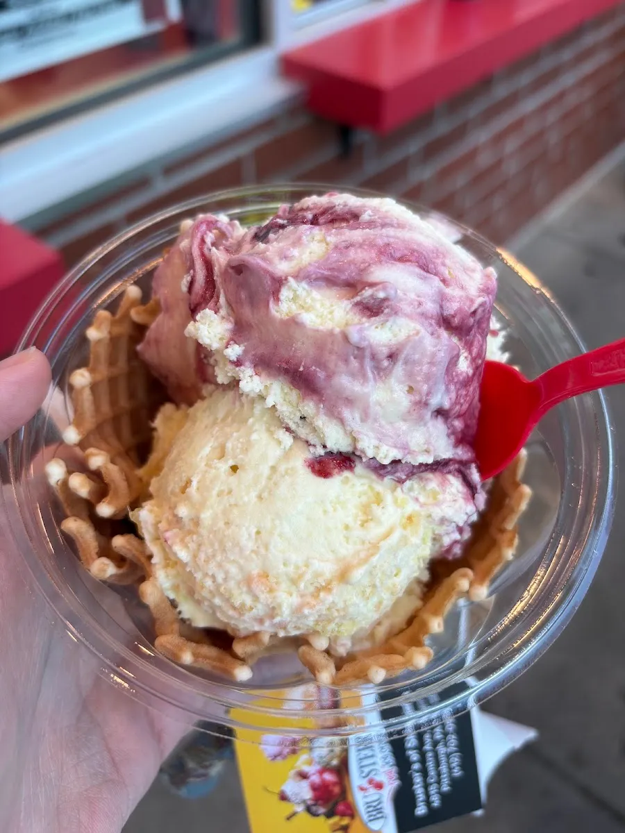 Bruster's Real Ice Cream (Squirrel Hill) — foto 5