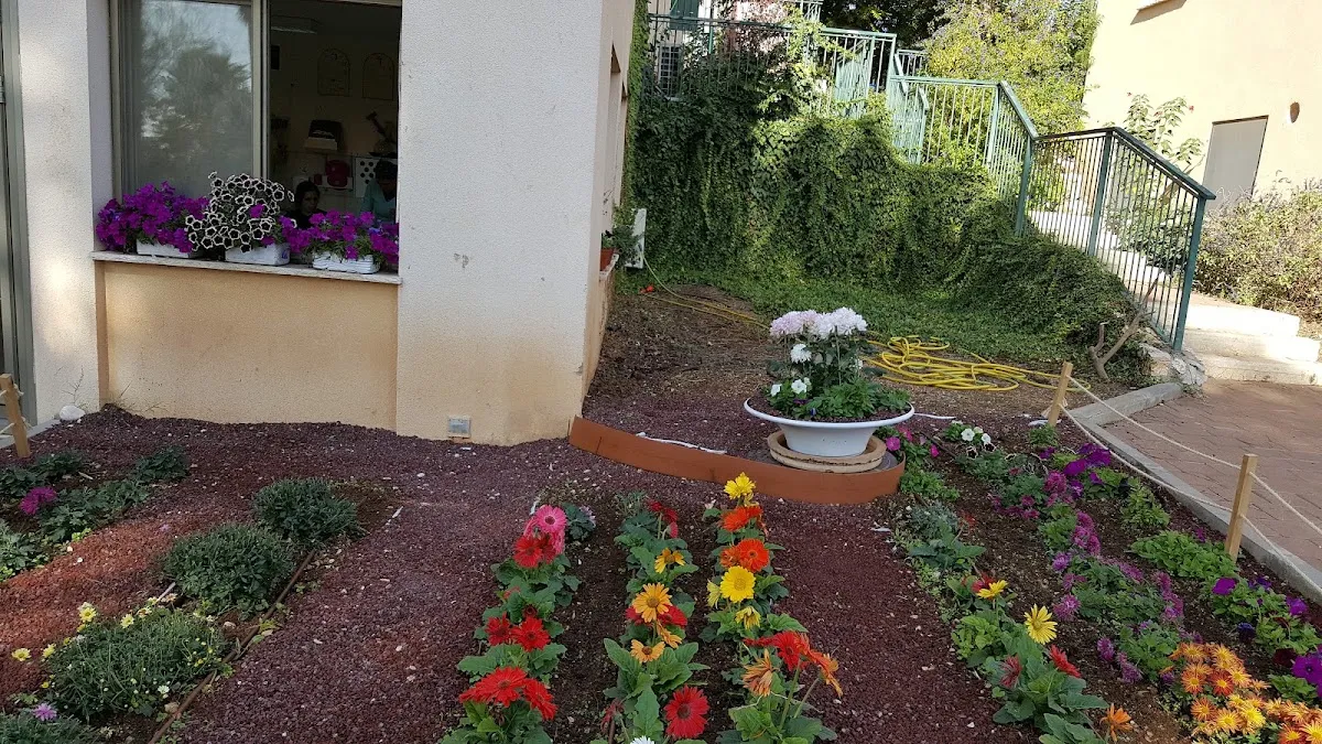 Cafe Galeria Beit Uri — photo 8