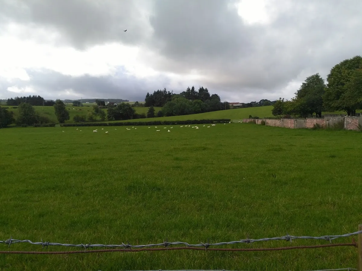 Calderwood Lodge Primary School — foto 5