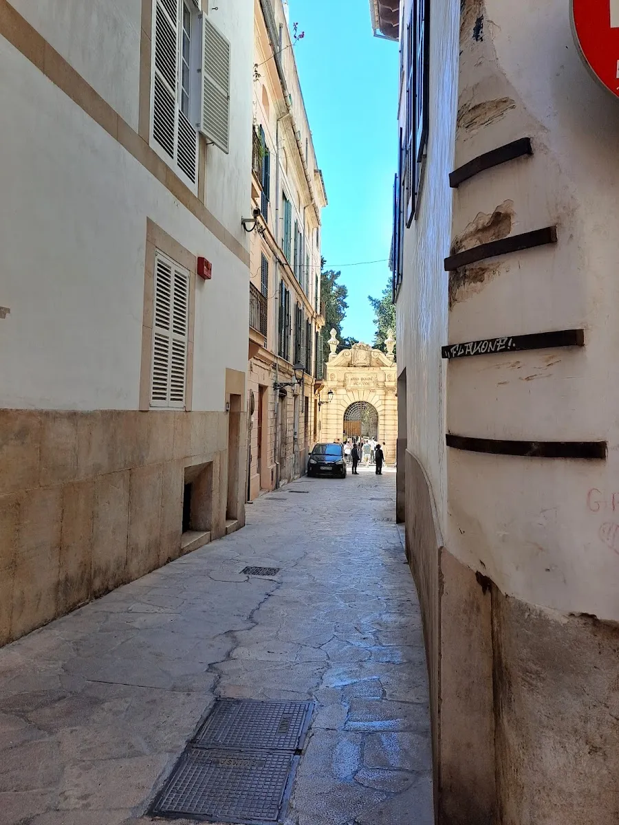 Call Jueu de Palma — photo 7