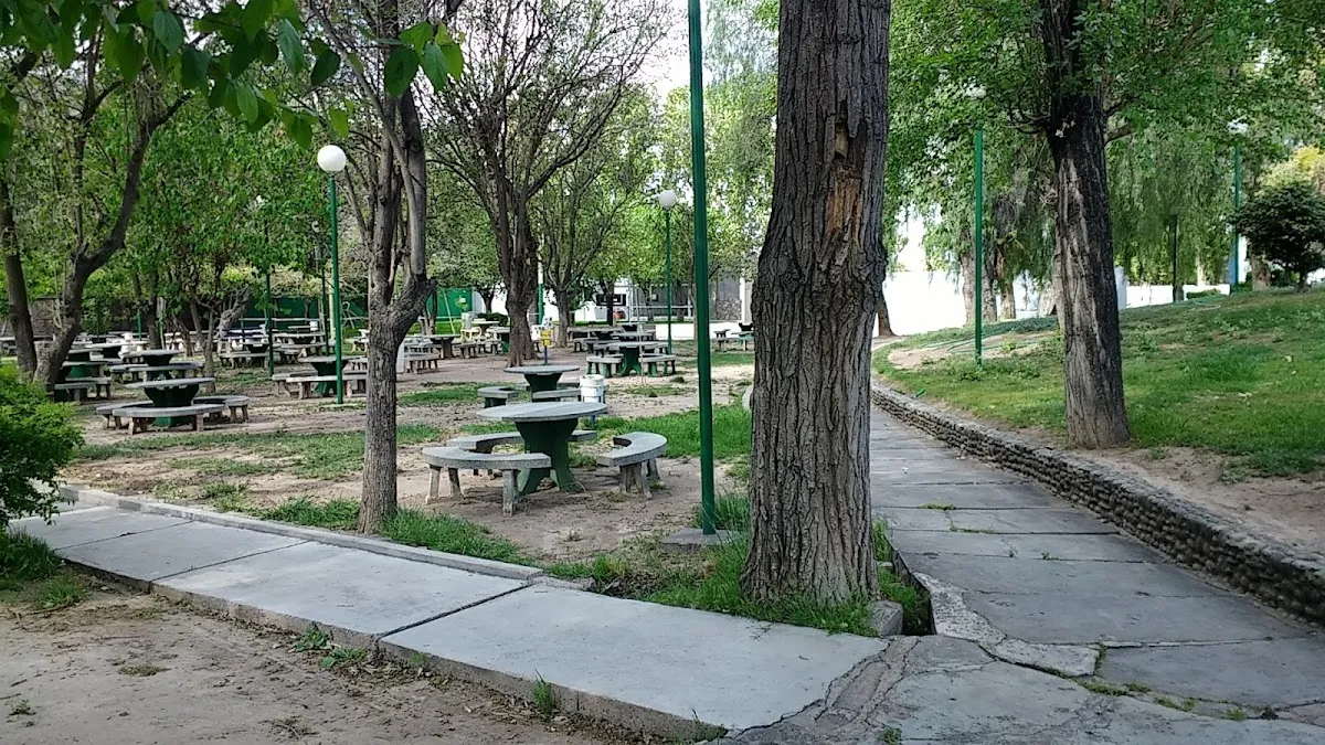 Camping del Club Israelita Macabi de Mendoza — foto 6