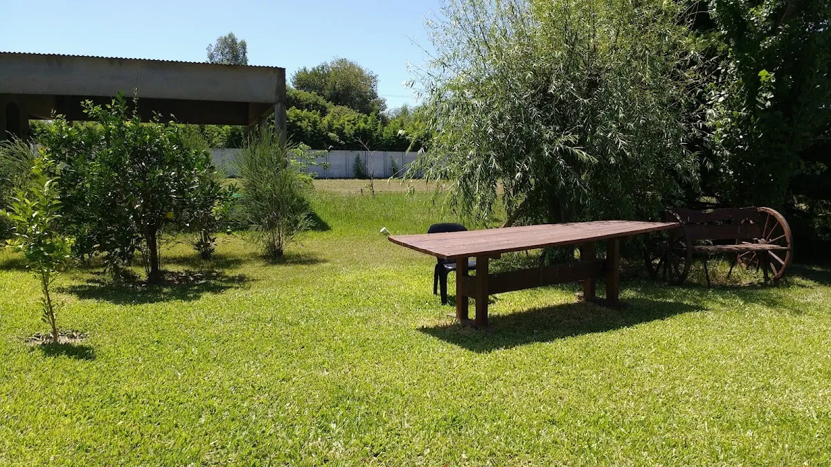 Camping Itzjak Rabin — Círculo Israelita Macabi — photo 6