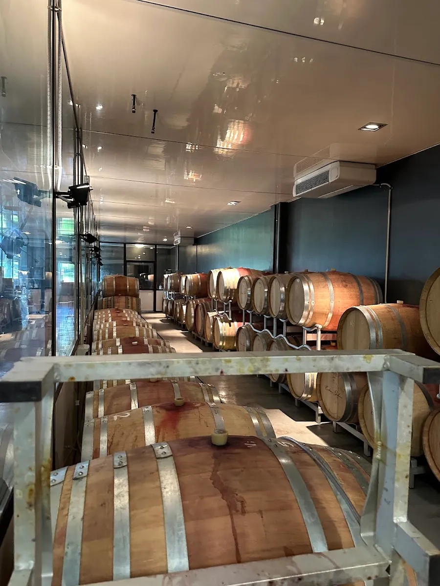 Cantina Giuliano — photo 8