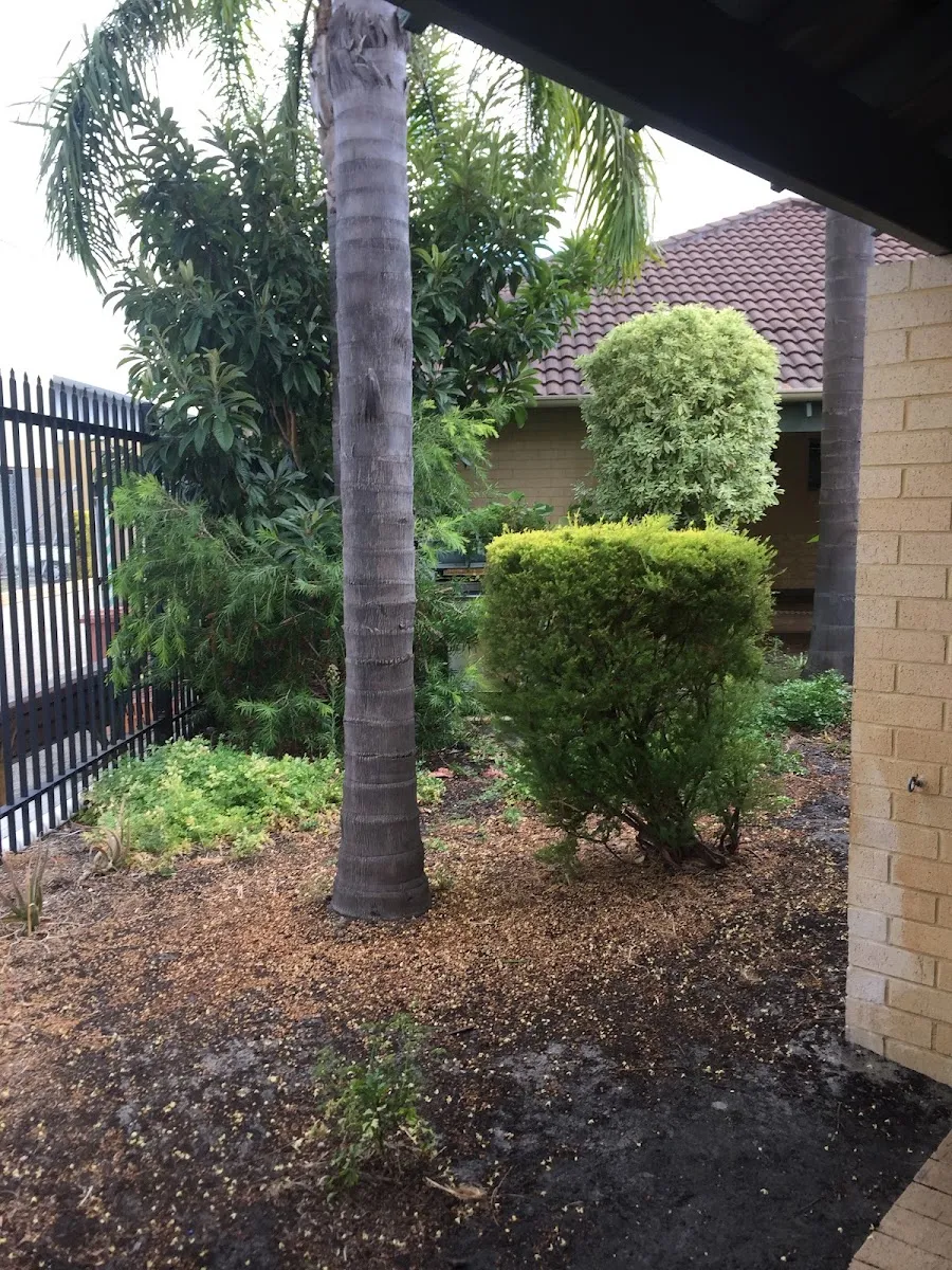 Carmel School de Perth — photo 5