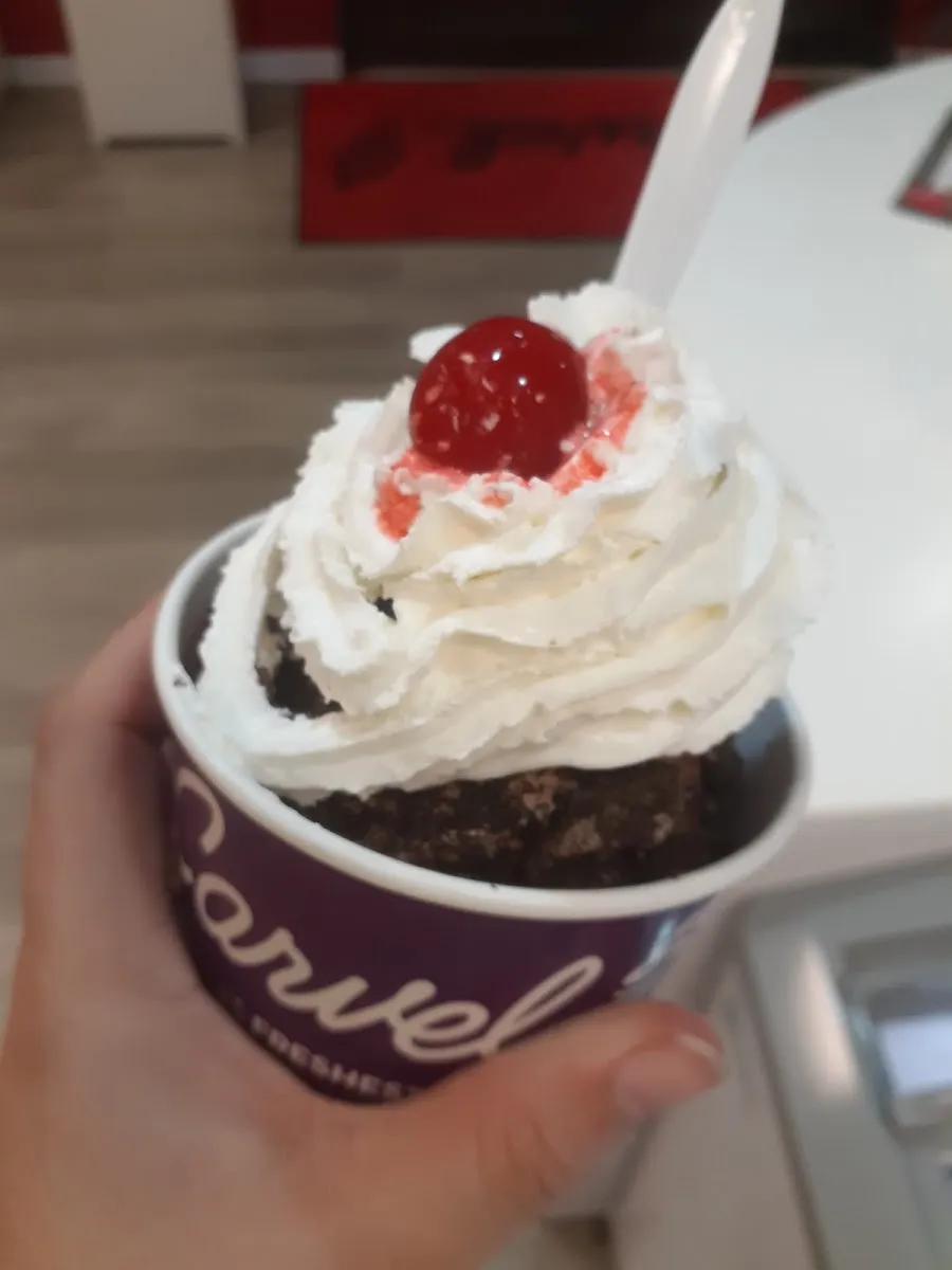 Carvel (255 NE Spanish River Blvd) — photo 3