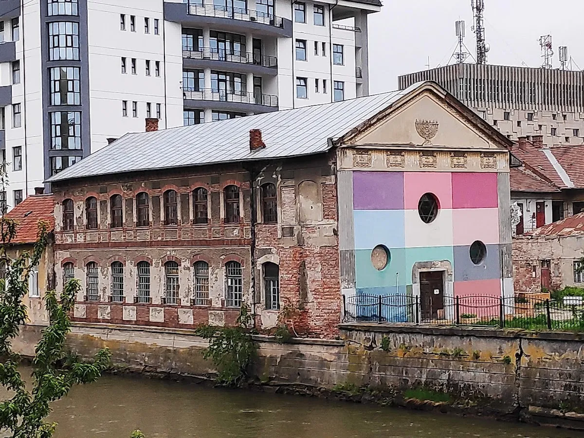 Casa Tranzit de Cluj-Napoca — photo 5