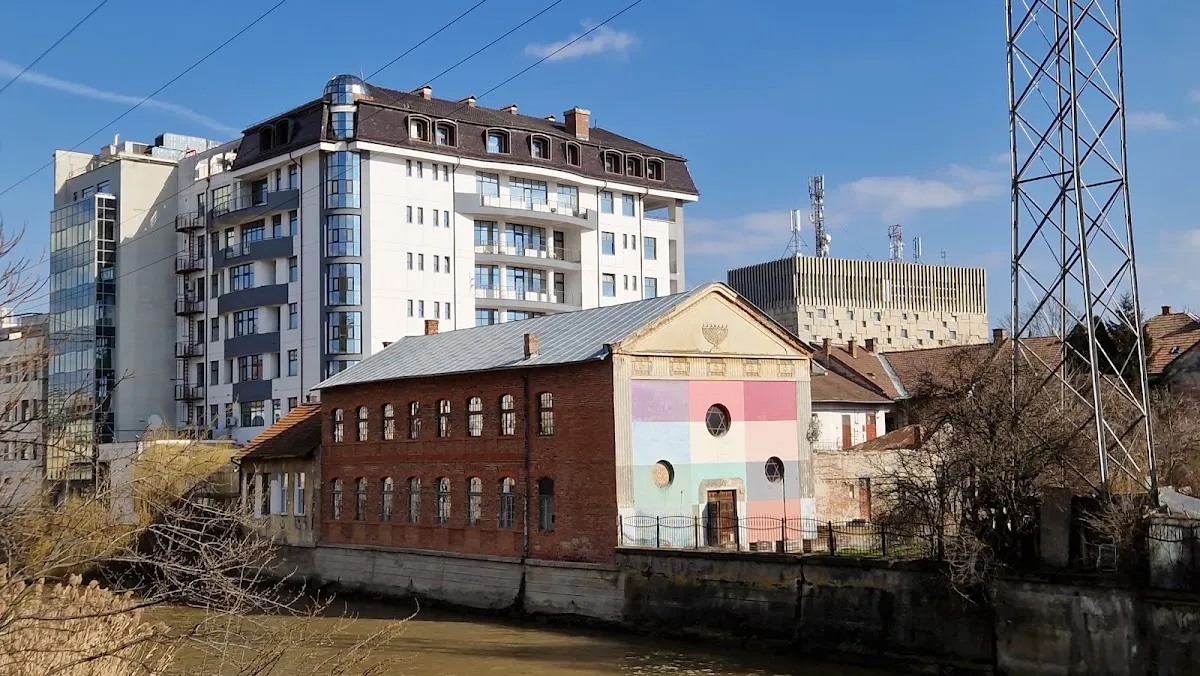 Casa Tranzit de Cluj-Napoca — photo 8