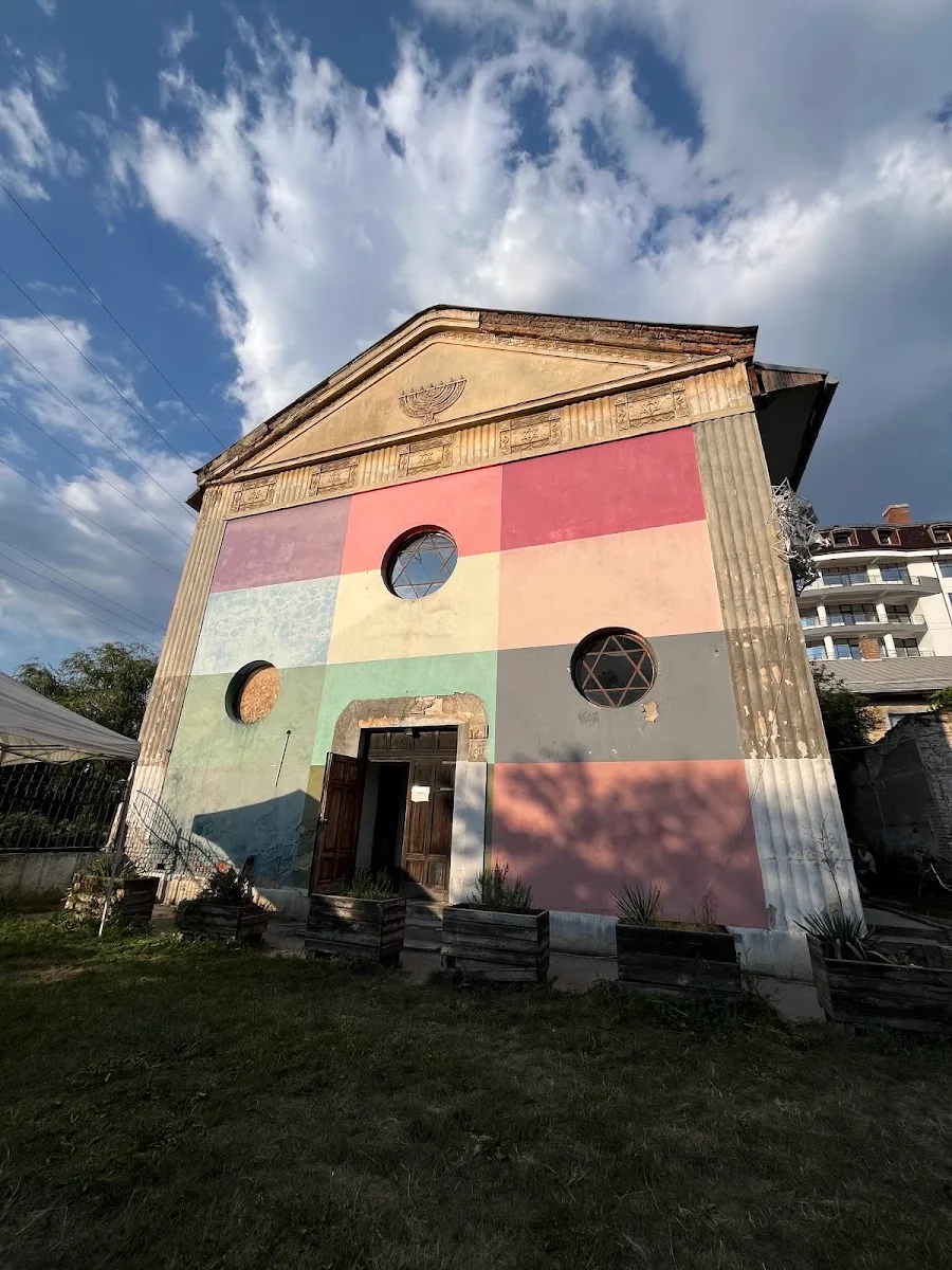 Casa Tranzit de Cluj-Napoca — photo 10