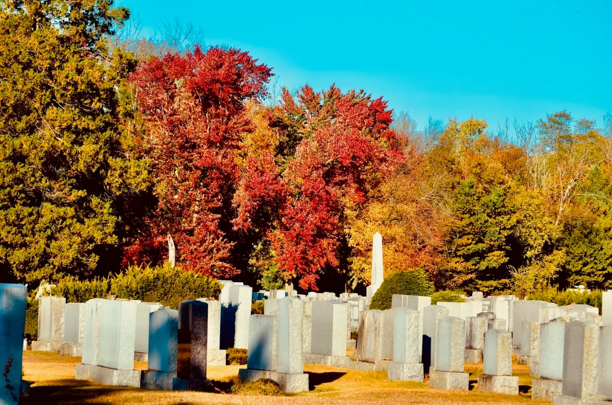 Cedar Park and Beth El Cemeteries — foto 7