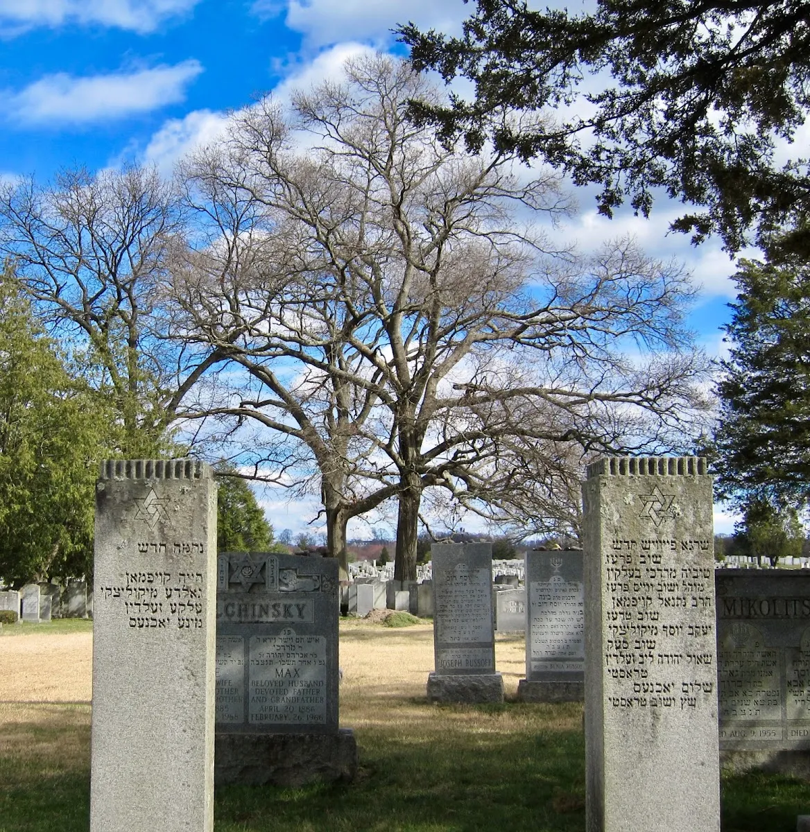 Cedar Park and Beth El Cemeteries — foto 9