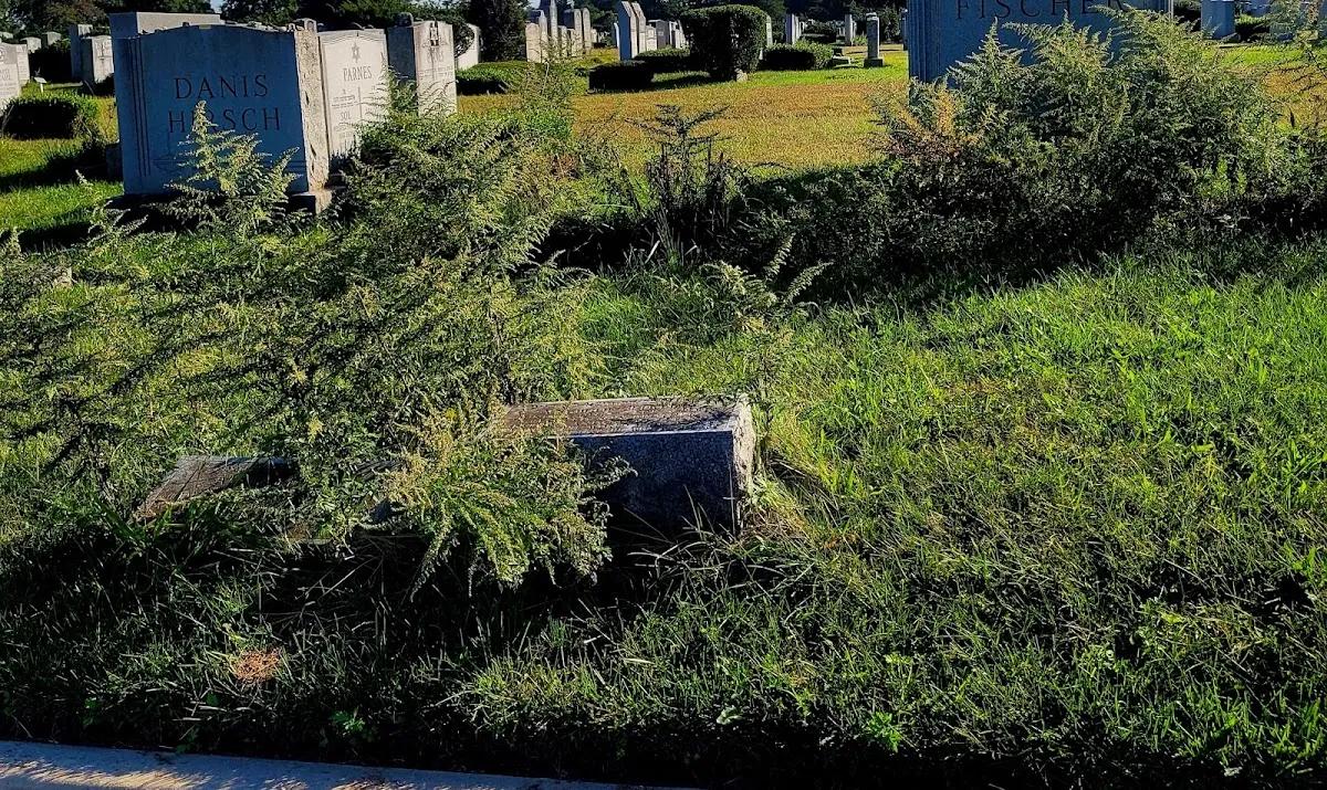 Cedar Park and Beth El Cemeteries — foto 10
