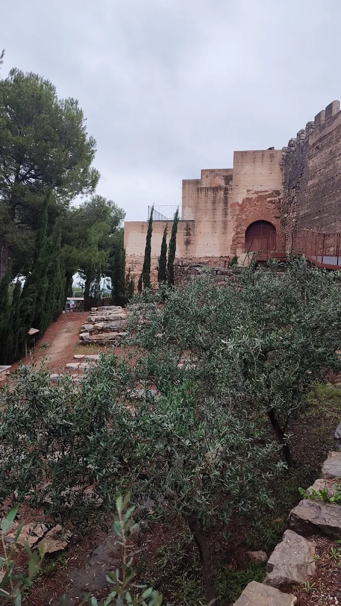 Cementeri Jueu de Sagunt — foto 10