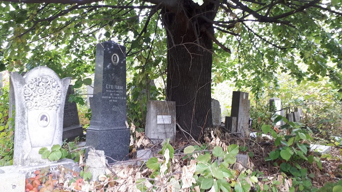 Cementerio de la comunidad judía de Bacău — foto 5
