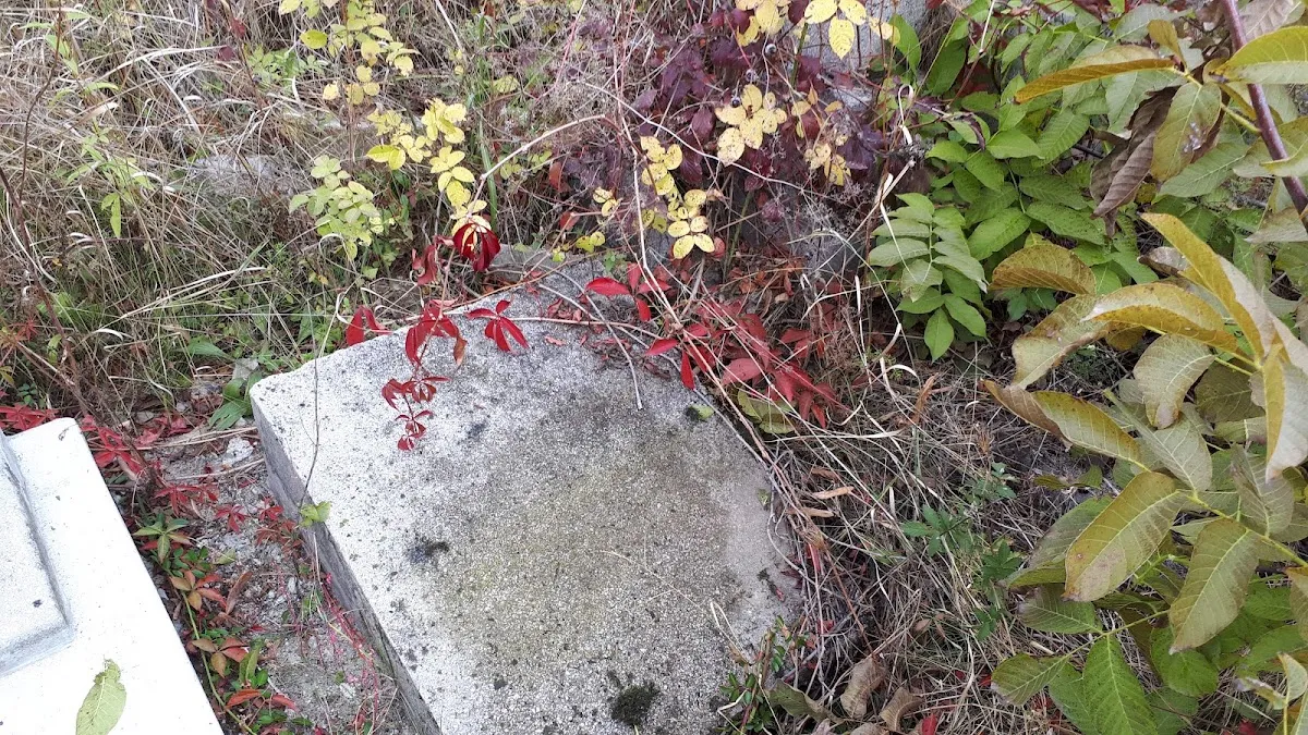 Cementerio de la comunidad judía de Bacău — foto 7