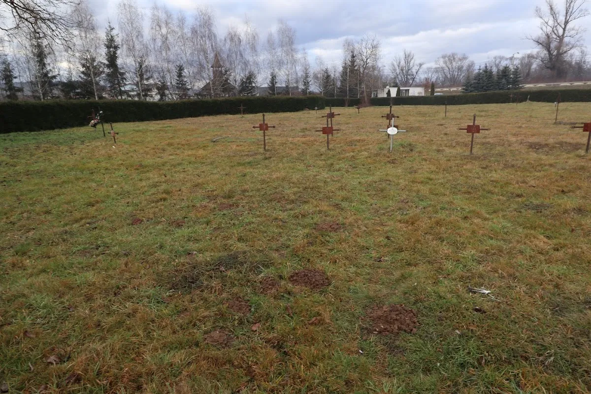 Cementerio de los pobres de Sighet — photo 7