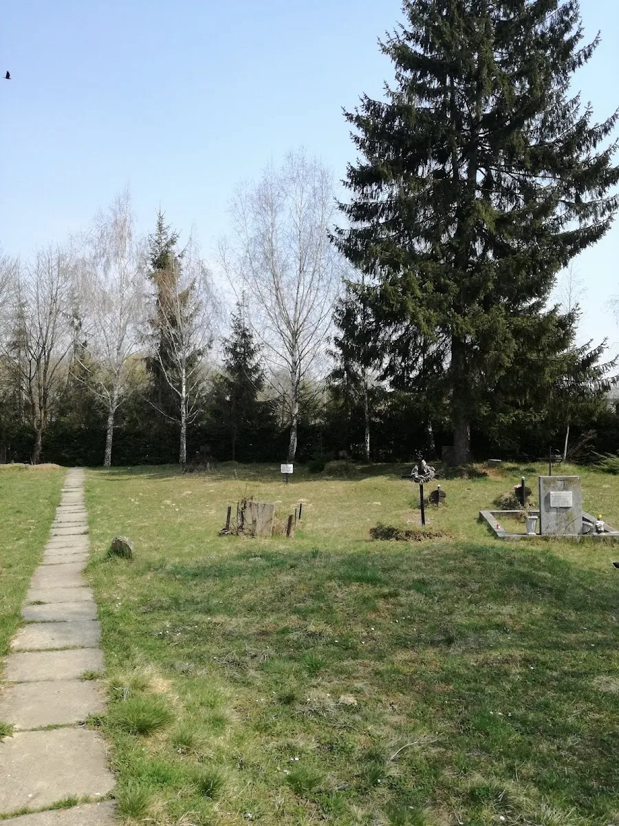 Cementerio de los pobres de Sighet — photo 8