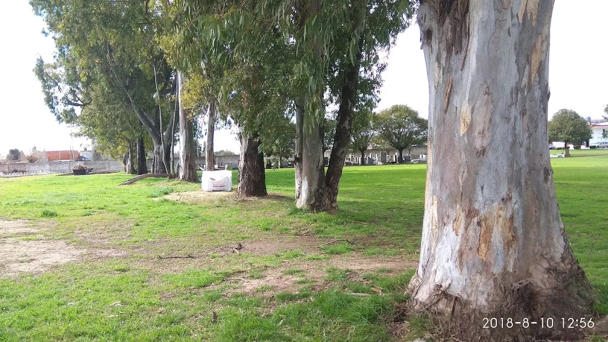 Cementerio Israelita de Berazategui — foto 8