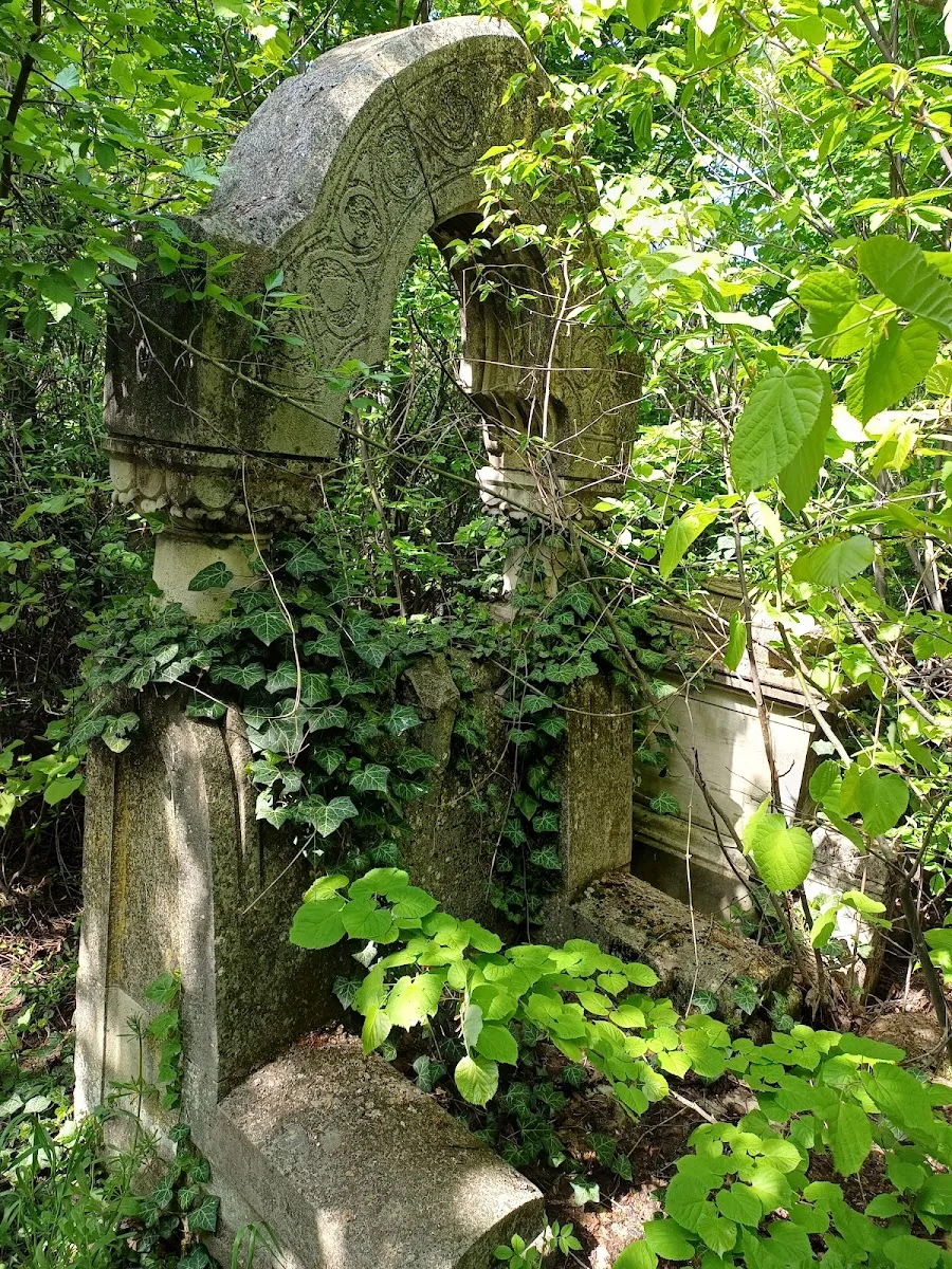 Cementerio Israelita Filantropía de Bucarest — foto 8