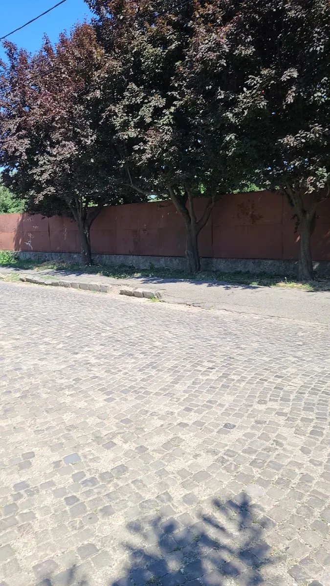 Cementerio judío antiguo de Sighet — foto 3