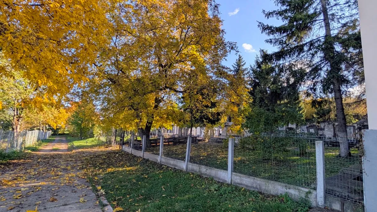 Cementerio judío antiguo de Suceava — foto 3