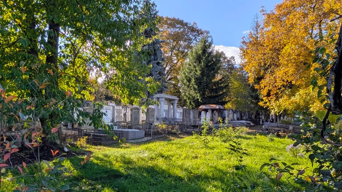 Cementerio judío antiguo de Suceava — foto 4