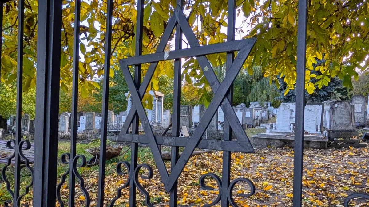 Cementerio judío antiguo de Suceava — foto 5