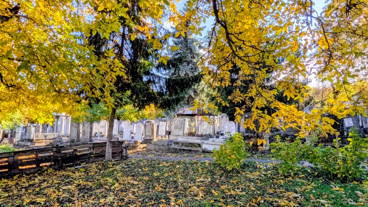 Cementerio judío antiguo de Suceava — foto 7