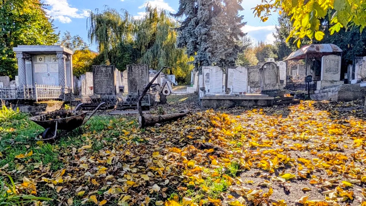 Cementerio judío antiguo de Suceava — foto 8
