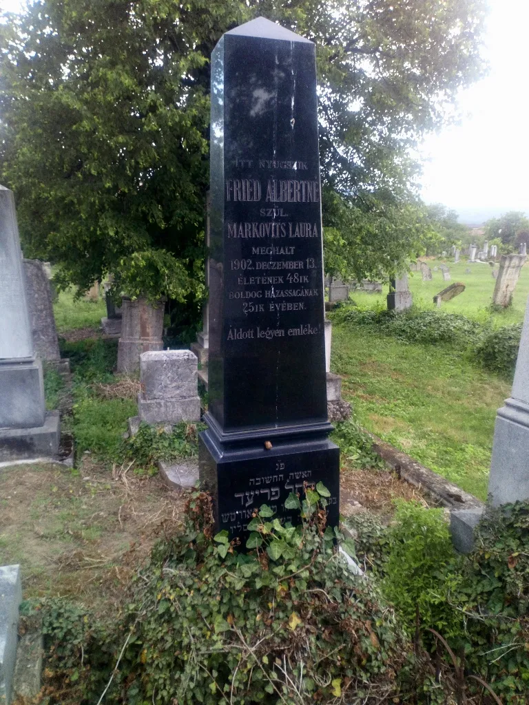 Cementerio judío de Alba Iulia — photo 5