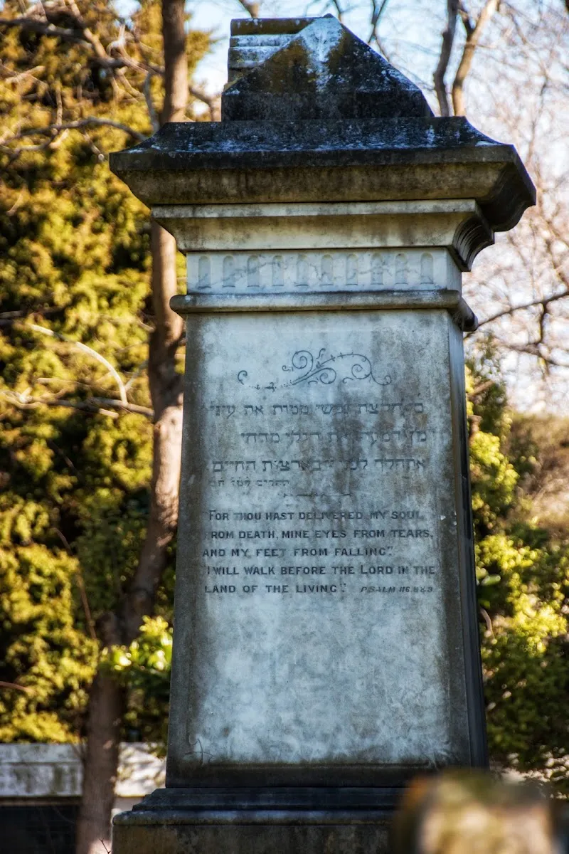 Cementerio Judío de Auckland — foto 5