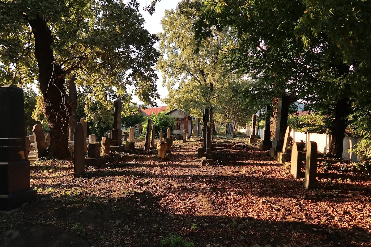 Cementerio judío de Baia Mare — photo 3