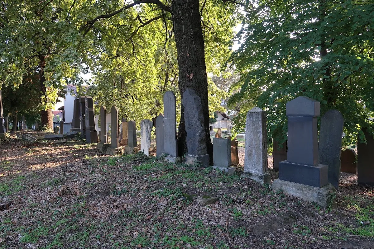 Cementerio judío de Baia Mare — photo 5