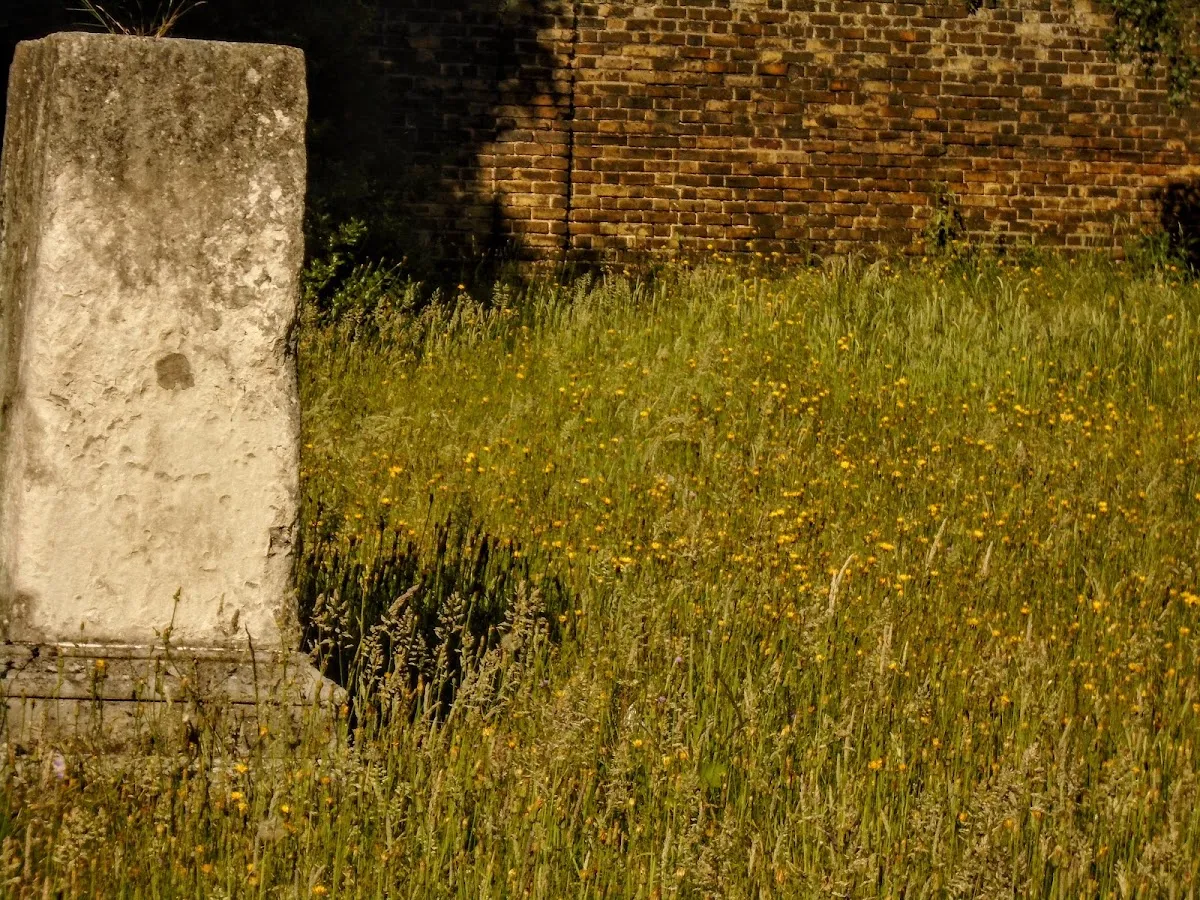 Cementerio judío de Bancroft Road — photo 2