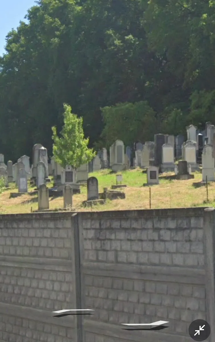 Cementerio judío de Bistrița — foto 3