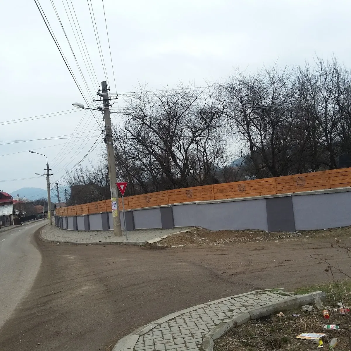 Cementerio judío de Câmpulung Moldovenesc — photo 6