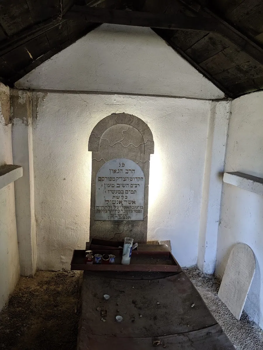 Cementerio judío de Cluj-Napoca — foto 2