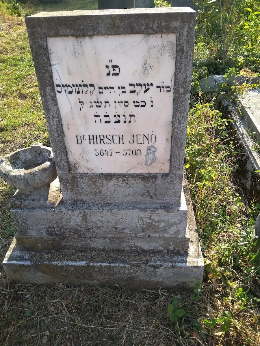 Cementerio judío de Cluj-Napoca — foto 8