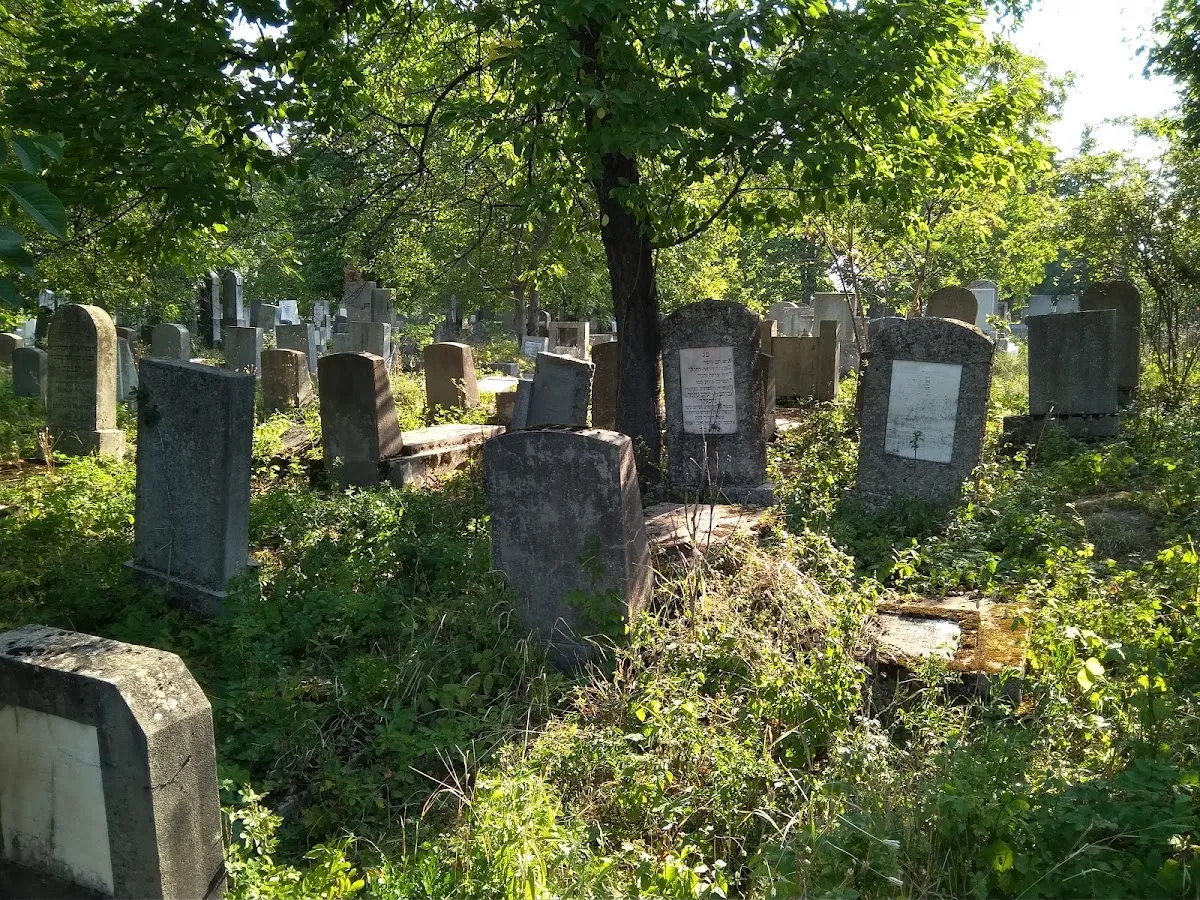 Cementerio judío de Cluj-Napoca — foto 9
