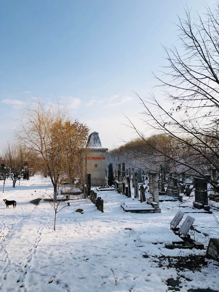 Cementerio judío de Craiova — foto 3